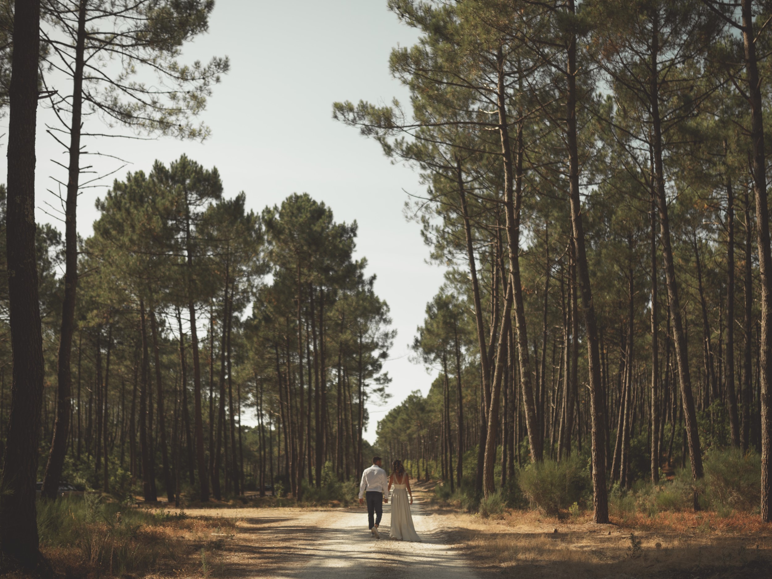 mariés, mariage, nature, plage, couple, photo de couple, arbre, chemin, plage