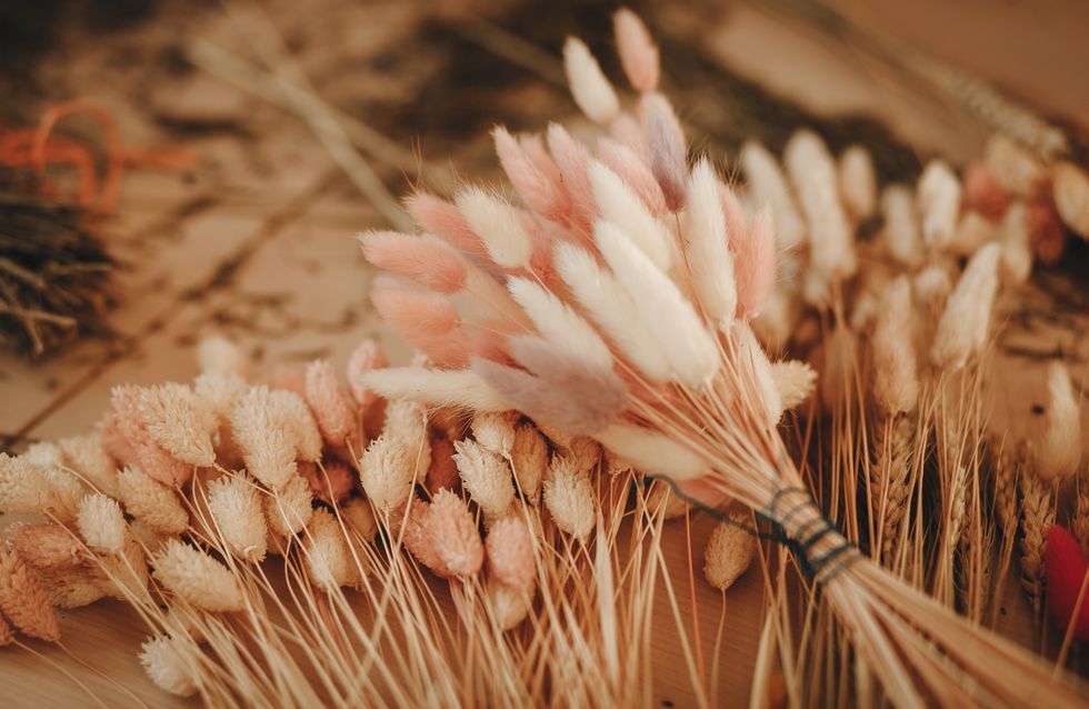 Wedding planner bordeaux