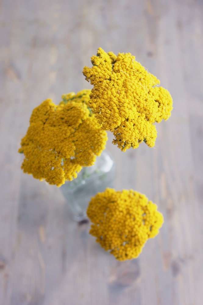 dday wedding planner, organisation de mariage lyon, décoration de mariage, bouquet de la mariée, wedding planner, dday wedding planner lyon, dday wedding planner rhone alpes, décoration floral, fleurs de saison