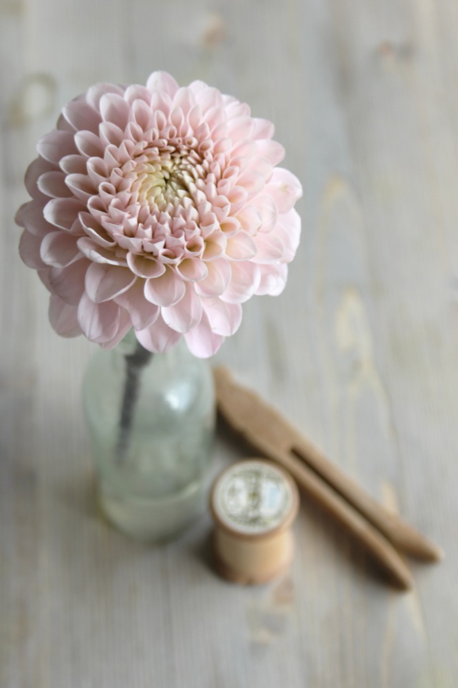 dday wedding planner, organisation de mariage lyon, décoration de mariage, bouquet de la mariée, wedding planner, dday wedding planner lyon, dday wedding planner rhone alpes, décoration floral, fleurs de saison