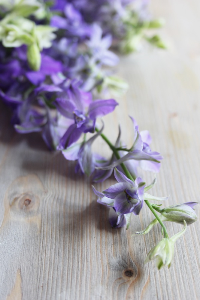 dday wedding planner, organisation de mariage lyon, décoration de mariage, bouquet de la mariée, wedding planner, dday wedding planner lyon, dday wedding planner rhone alpes, décoration floral, fleurs de saison