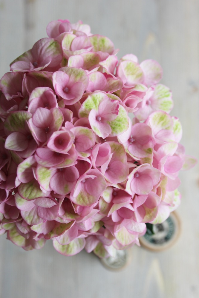 dday wedding planner, organisation de mariage lyon, décoration de mariage, bouquet de la mariée, wedding planner, dday wedding planner lyon, dday wedding planner rhone alpes, décoration floral, fleurs de saison