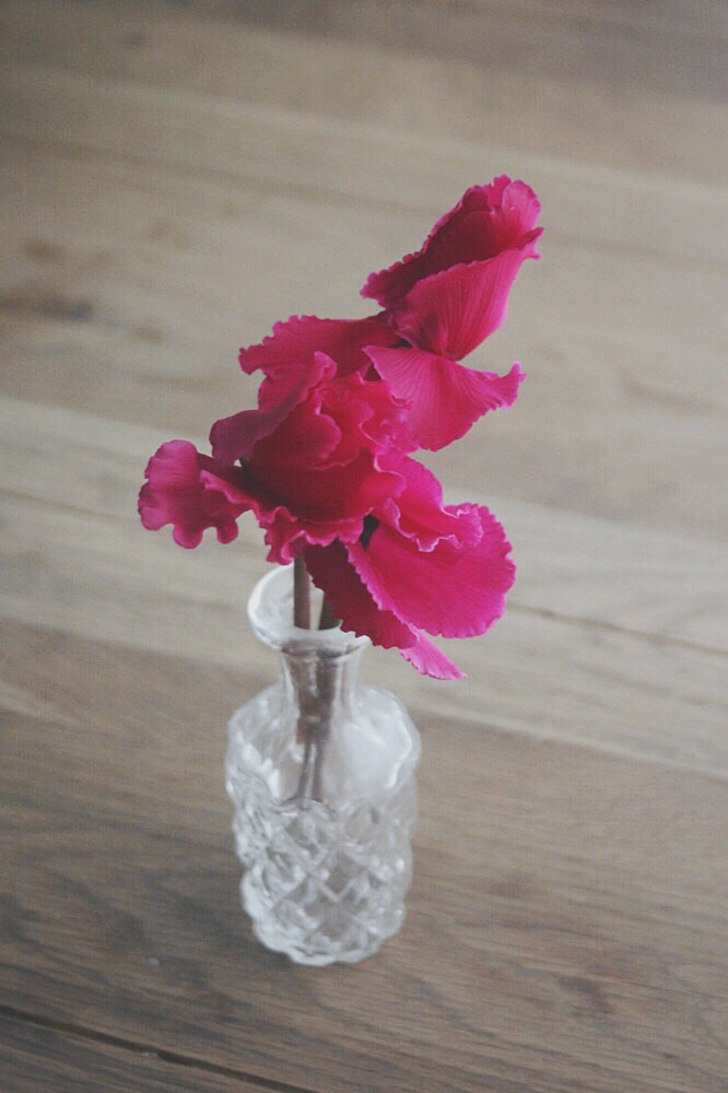 dday wedding planner, organisation de mariage lyon, décoration de mariage, bouquet de la mariée, wedding planner, dday wedding planner lyon, dday wedding planner rhone alpes, décoration floral, fleurs de saison