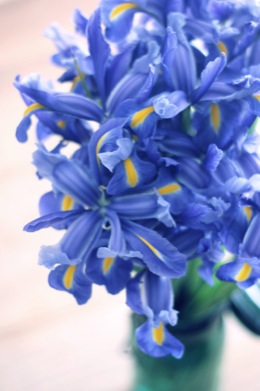 dday wedding planner, organisation de mariage lyon, décoration de mariage, bouquet de la mariée, wedding planner, dday wedding planner lyon, dday wedding planner rhone alpes, décoration floral, fleurs de saison