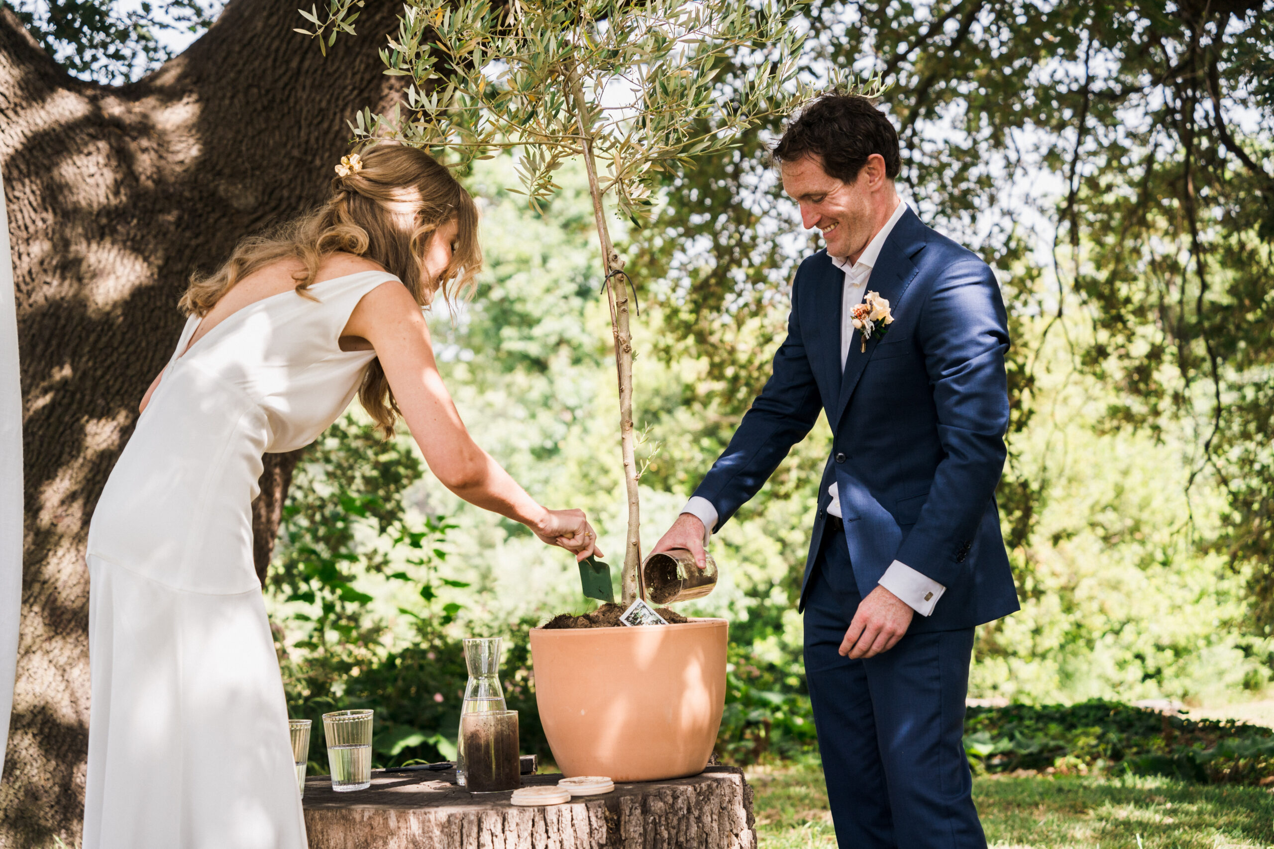 Idées de rituels d'union pour votre cérémonie laïque. rituel de l'arbre