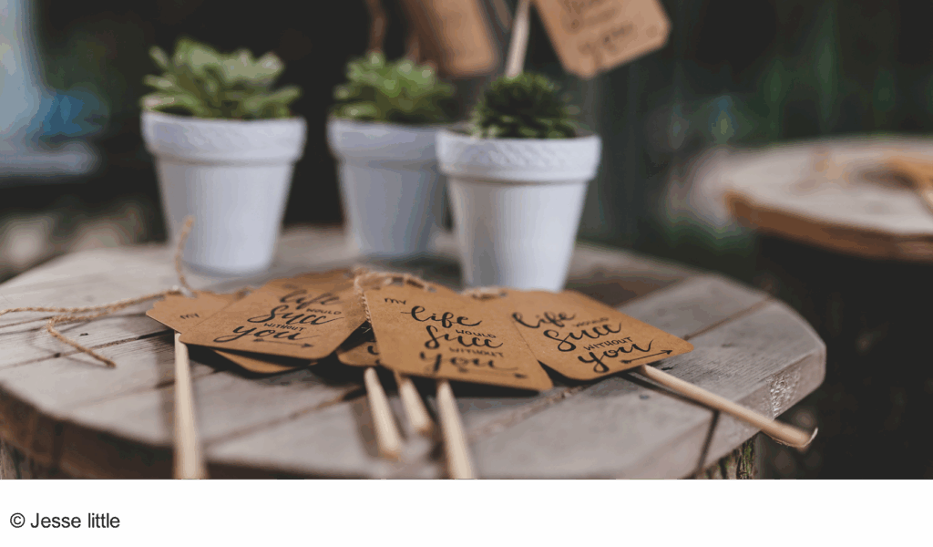 wedding planner drome d day wedding planner