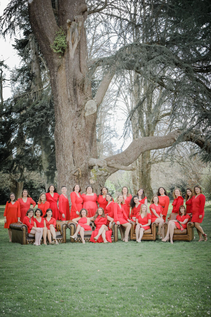 D Day Girls : Wedding Planner