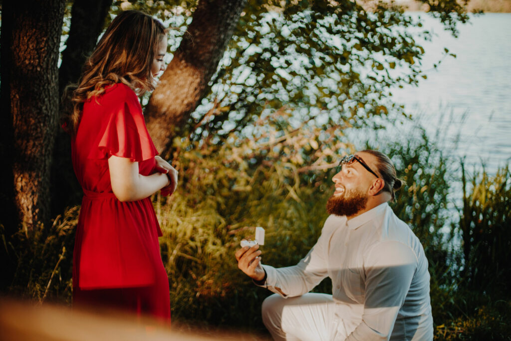 demande en mariage, dream,wedding planner,