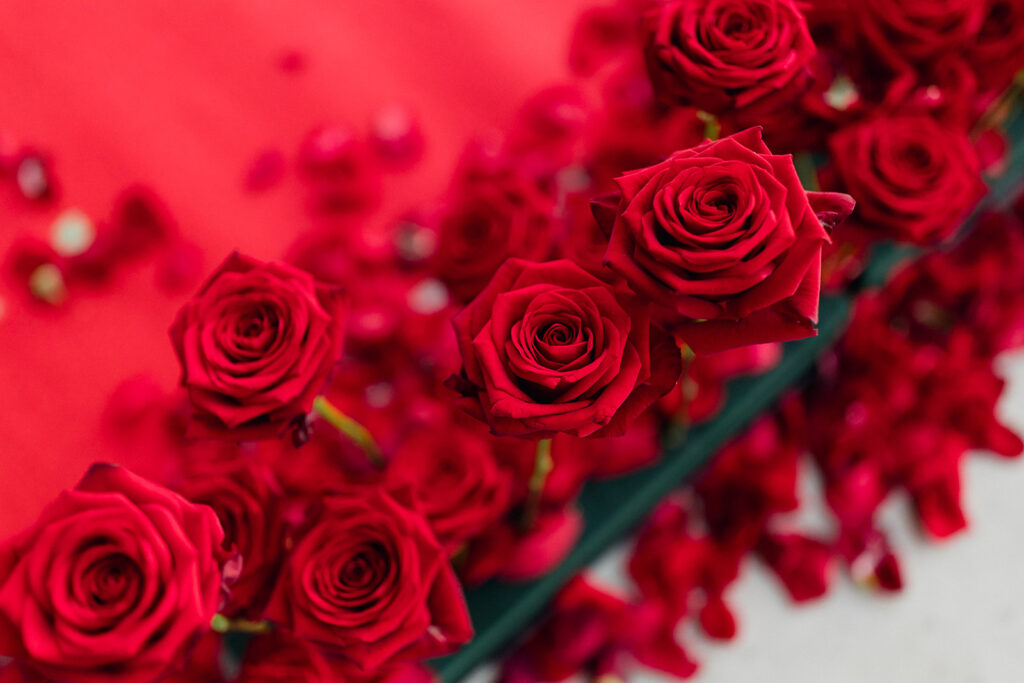 rose rouge, décoration évènementielle, demande en mariage, tapis rouge,
