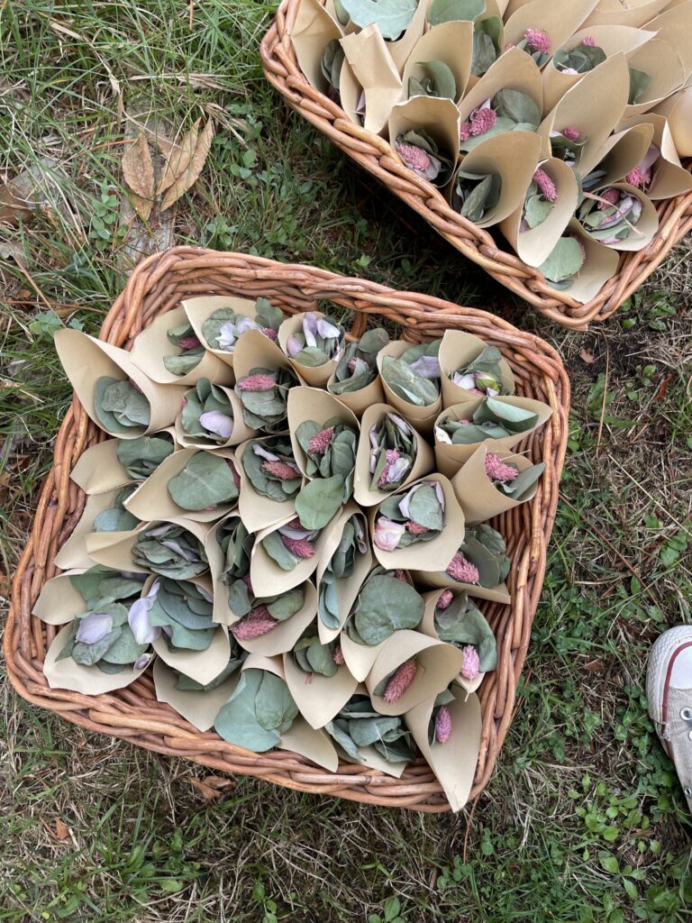 confettis biodegradables