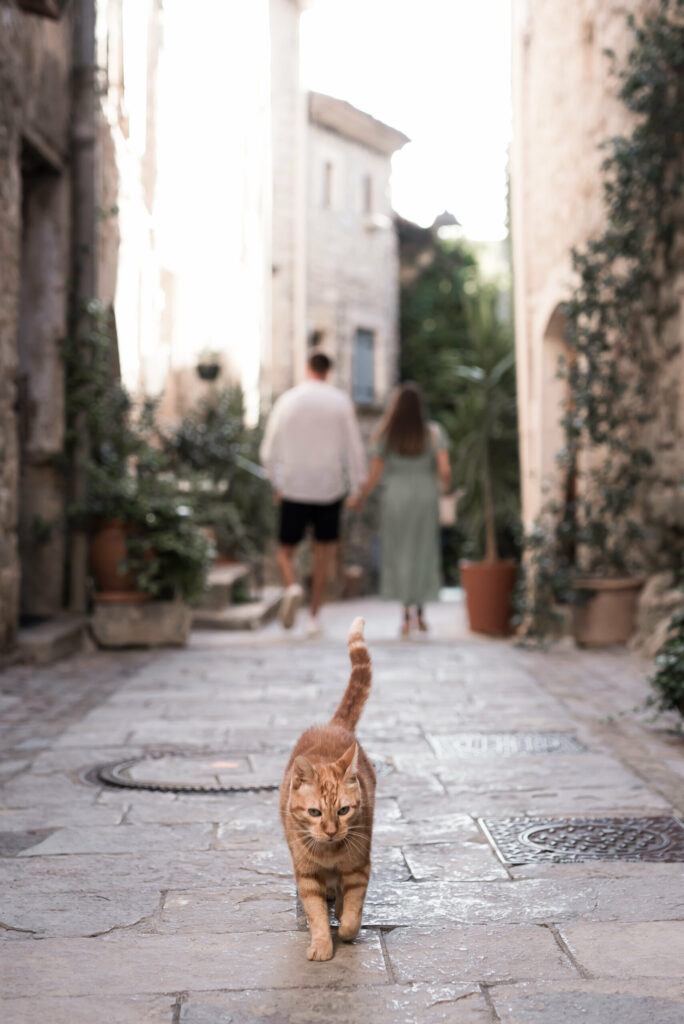 Wedding planner Montpellier, Wedding planner perpignan, ogranisation de mariage hérault, organisation de mariage perpignan, séance d'engagement perpignan, mariage occitanie