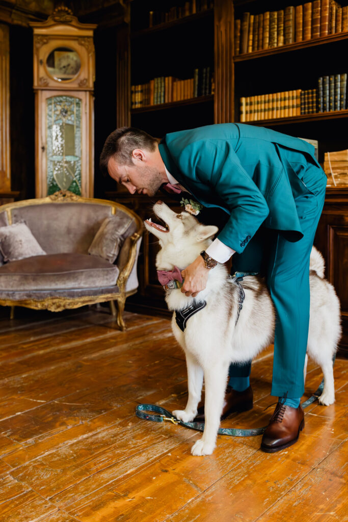 Mariés et leurs chiens, mariée, marié, costume bleu, robe sirène, robe de mariée, chien, animaux de compagnie