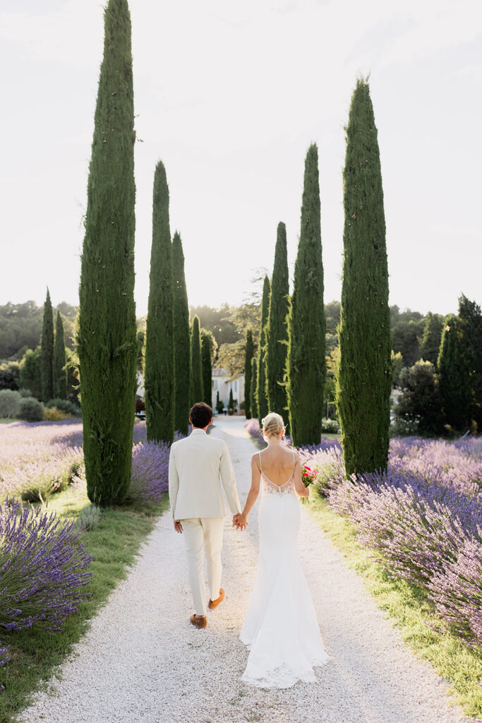 lavande, cyprés, provence, fineart