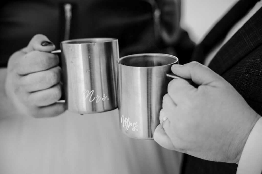 alpes, mariage, montagnes, mariées, femmes, robe blanche, costume, soleil, neige, sapins, séance couple
