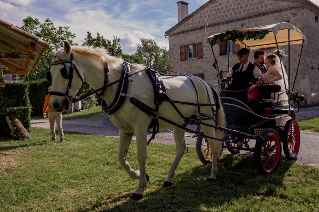 entrée des mariés, mariage toulouse, wedding planner toulouse, calèche mariage, chevaux mariage, arrivée des mariés, robe de mariée, vin d'honneur, mariage haute garonne