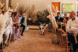 Chien, cérémonie laique