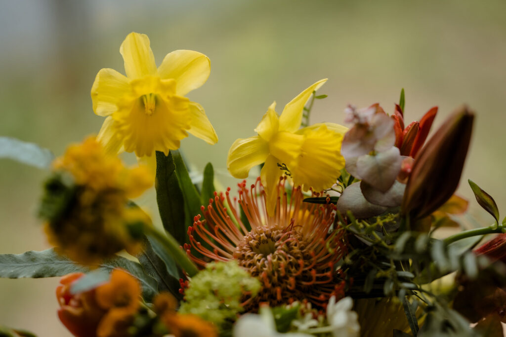 bouquet automne lumineux Landes